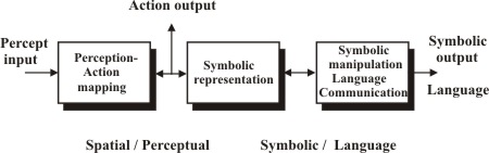 Spatial/Perceptual - Symbolic/Language